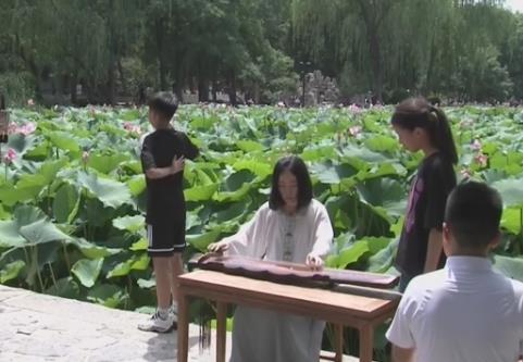 “以水生金”释放夏日消费活力 “好颜值”变“好价值”一季荷韵带动文旅热