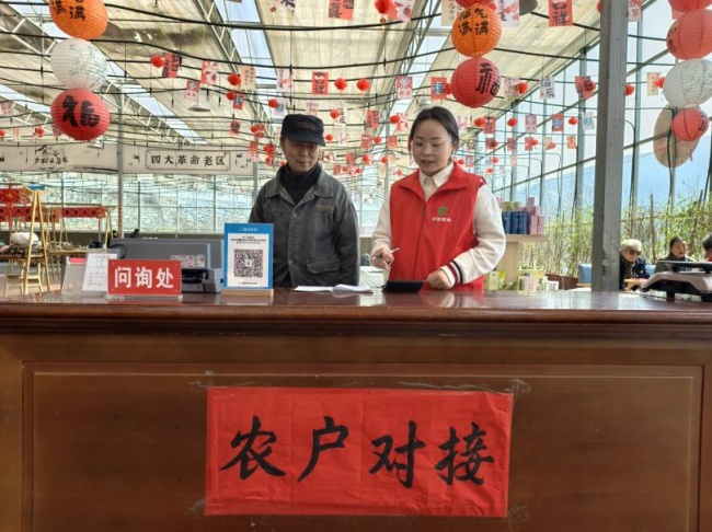 从“输血”到“造血”，激活乡村振兴内生动力