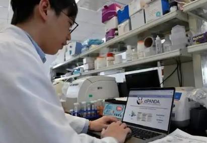全球首个细胞级分辨率的胰腺癌科研平台开放共享
