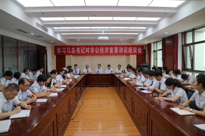 党旗引领实干路 盛达集团深耕主业书写民企担当