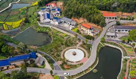 湖南省宁乡市奋力书写乡村振兴高质量发展答卷