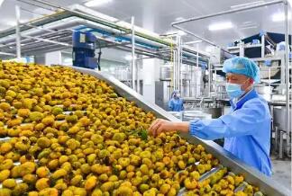 贵州生态食品产业不断壮大