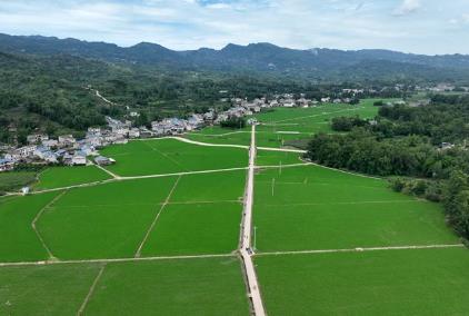 四川丹棱：“三新”共奏振兴曲 桔橙之乡绘就“共富”新图景