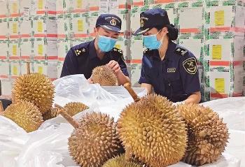 前五个月福建进口鲜榴莲超两亿元