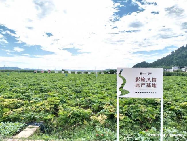 这盘“影视+风物”的大棋，凭什么在四川下出了新高度？