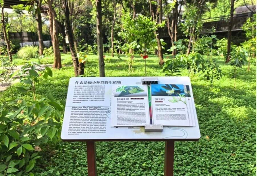 全国首次！31种极小种群野生植物在云南高速公路沿线“落户”