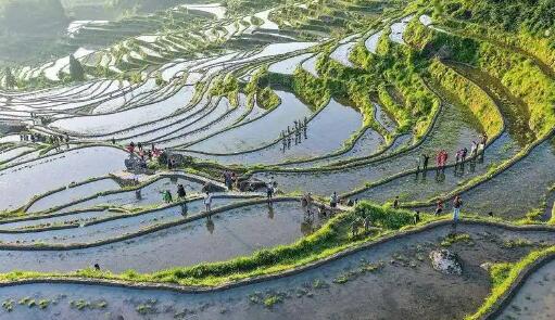 千年梯田绘就滇南富民新图景