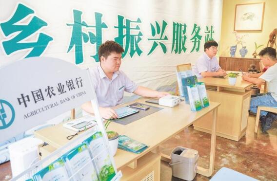 财政金融协同支持乡村振兴