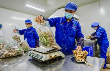 四市联动+错位协同 广西打造面向东盟的中医药服务贸易枢纽