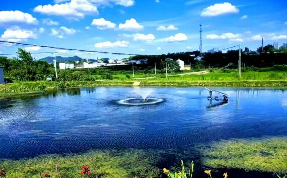 以切实行动守护群众“家门口”的清水绿岸