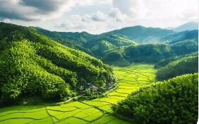 构建自然资源资产管理“四梁八柱”