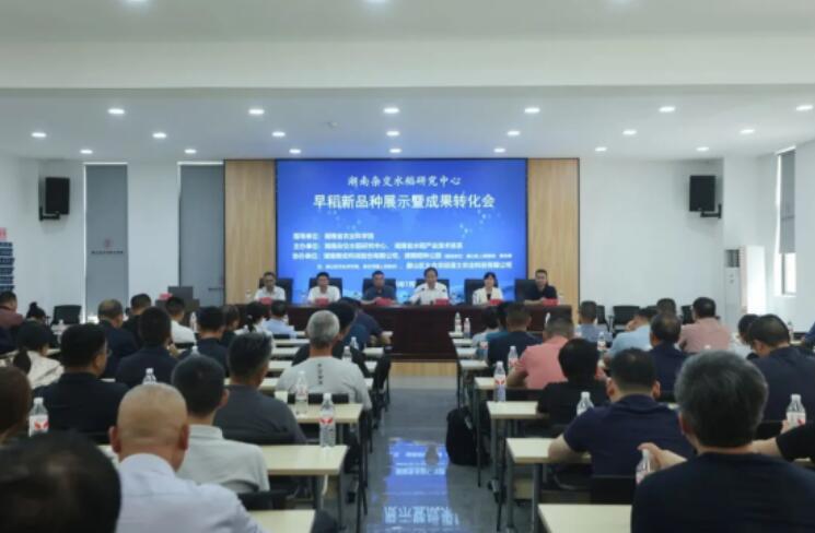 湖南稻种公园“田间选秀”识良种，乡合农服赋能种业成果落地