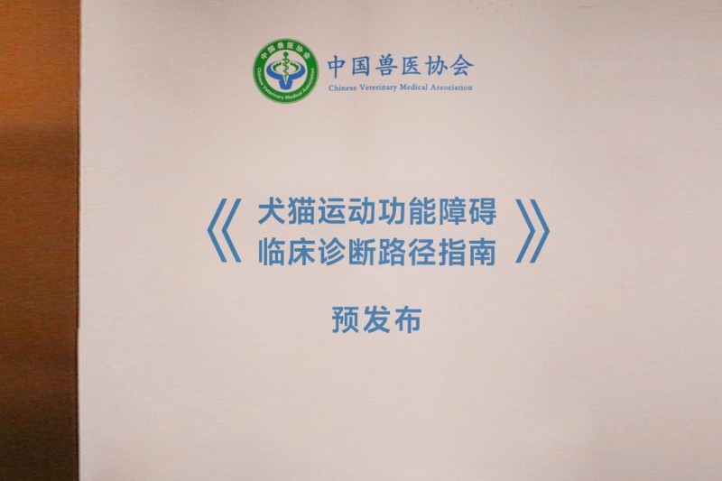 犬猫运动障碍诊断指南预发布：为“站不起来”的犬猫建立科学诊疗路径