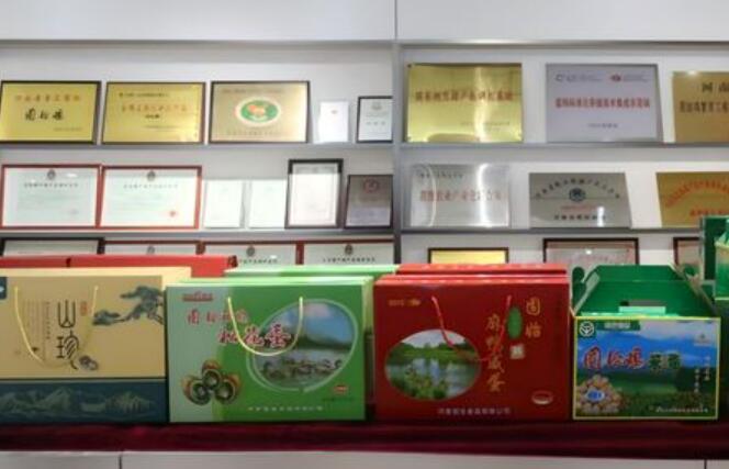 特色食品产业成为河南信阳固始县发展新引擎