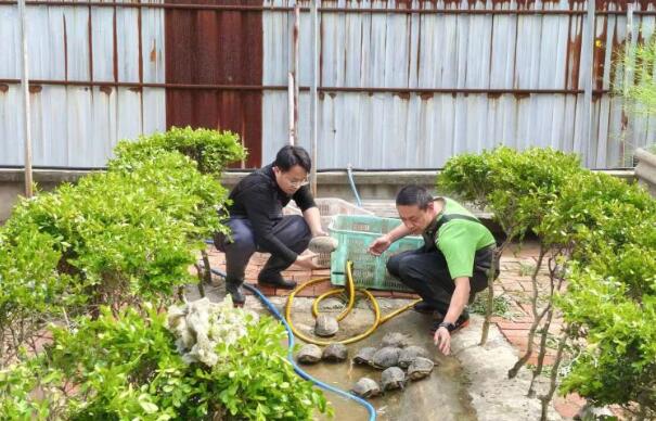 上海嘉定：深耕庭院养殖二十载，方寸小院托起乡村振兴富民产业