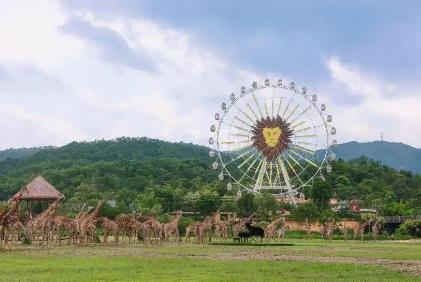 广东7月在线旅游交易额领跑全国，研学游、纳凉游双双“上大分”