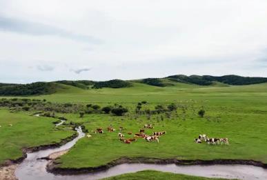 内蒙古扎鲁特旗：以家庭牧场铺就草原富民之路