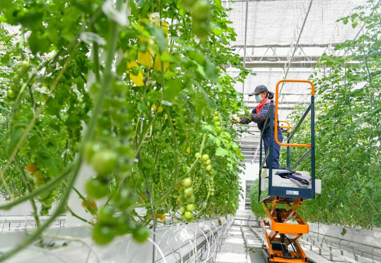 打造农业高新技术群 融合双链跑出加速度