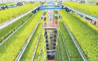 打造农业高新技术群 融合双链跑出加速度