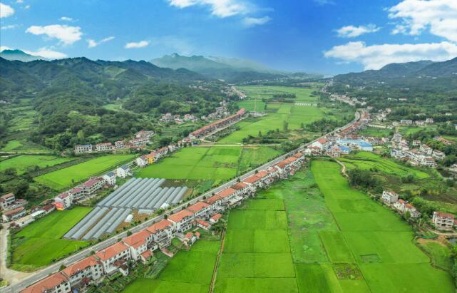 山货出山 消费进山——湖北黄冈探索老区振兴特色路