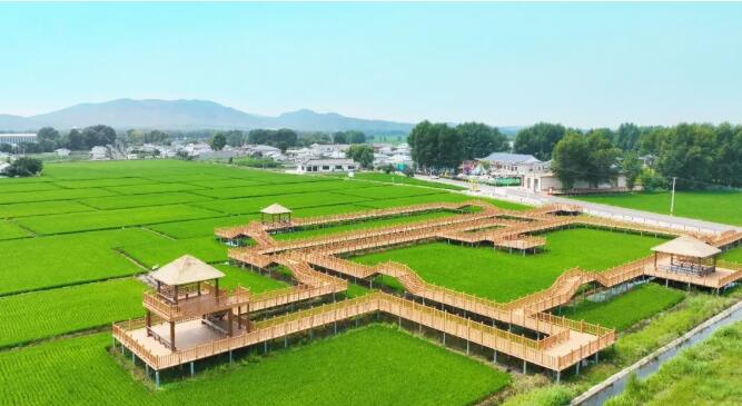 内蒙古乌兰浩特市：深耕三农沃土 绘就乡村振兴新图景