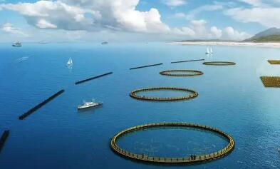 科技助力汕尾现代化海洋牧场建设跑出加速度