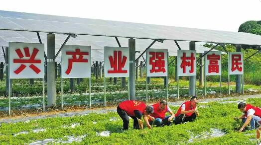 我国常态化帮扶实现稳健开局