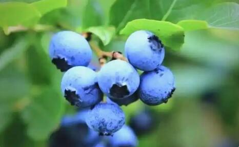 以地标赋能文旅  绘就龙江振兴新画卷