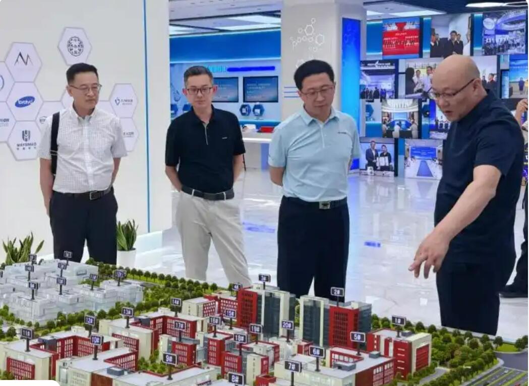 链上破局 聚势成峰！解码江苏如东招商引资强劲活力
