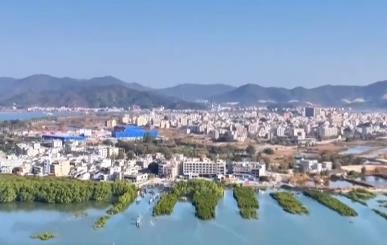 2025年南海区海洋生态状况总体稳定