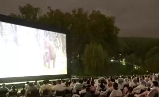丰富多彩放映活动串联景区、商圈、市集 “观影+消费”成为百姓休闲新方式