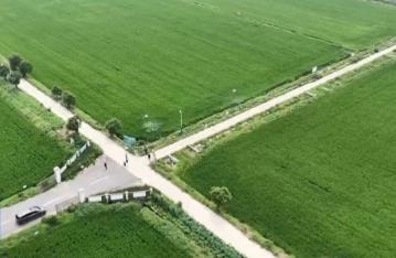 各地做好田间管理 夯实粮食丰收基础