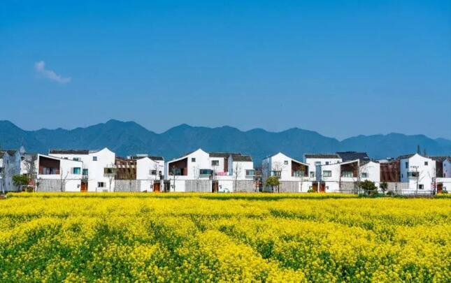 浙江：到2030年基本实现农业农村现代化