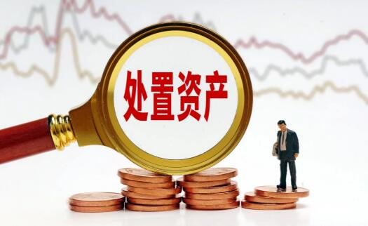 持续强化资源整合 多方协同推进特殊资产行业高质量发展
