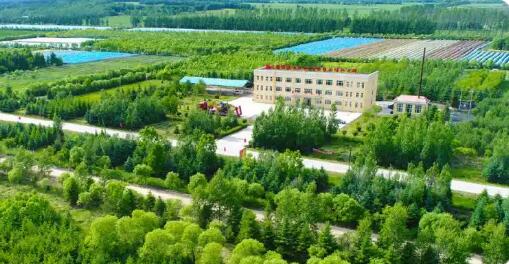 龙江森工集团积极发展林业碳汇经济 打通“两山”价值转化通道