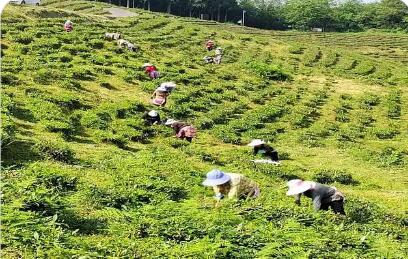 贵州：6970家民营企业参与“万企兴万村”