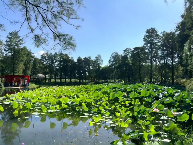 东湖笔话