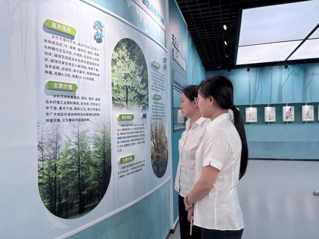 湖北罗田：多维赋能育青苗，薪火相传共成长