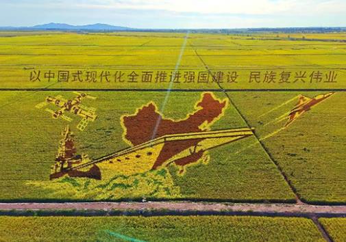 黑龙江22个农作物专家育种展示基地将对外开放