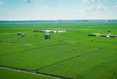 黑龙江佳木斯定制农业向全链条产业赋能转型升级