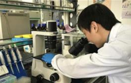 截至7月底 我国国内（不含港澳台）发明专利有效量达到566.7万件