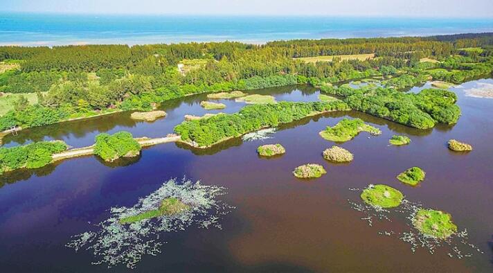 实施分区管控、优化能源结构 海南倾力厚植生态底色