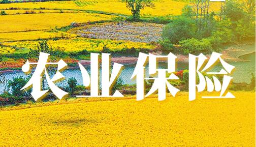 农业保险加快高质量发展重在健全多层次农业保险体系