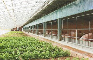 黑龙江省成立特色产业科技小院集群聚链赋能乡村振兴