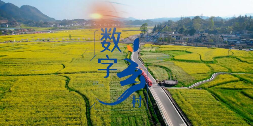 8项指标24项重点任务 “十五五”数字乡村建设路线图出炉