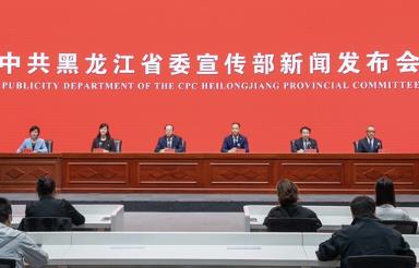 连续三年获全国考核优秀等级 黑龙江产改工作取得重要阶段性成效