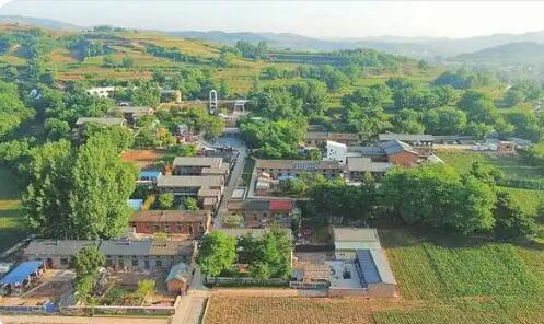 山西临汾安泽县：深耕细作特色产业 多元赋能乡村振兴