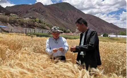 西藏昌都：惠民固本纾民困 科技赋能促增收