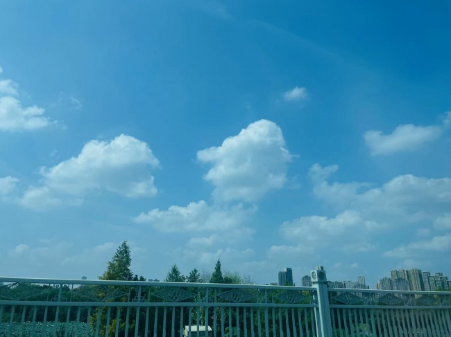 天上的云变得又高又薄