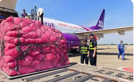“武汉—芜湖—达卡”全货机航线开通 湖北“空空中转”再添新通道